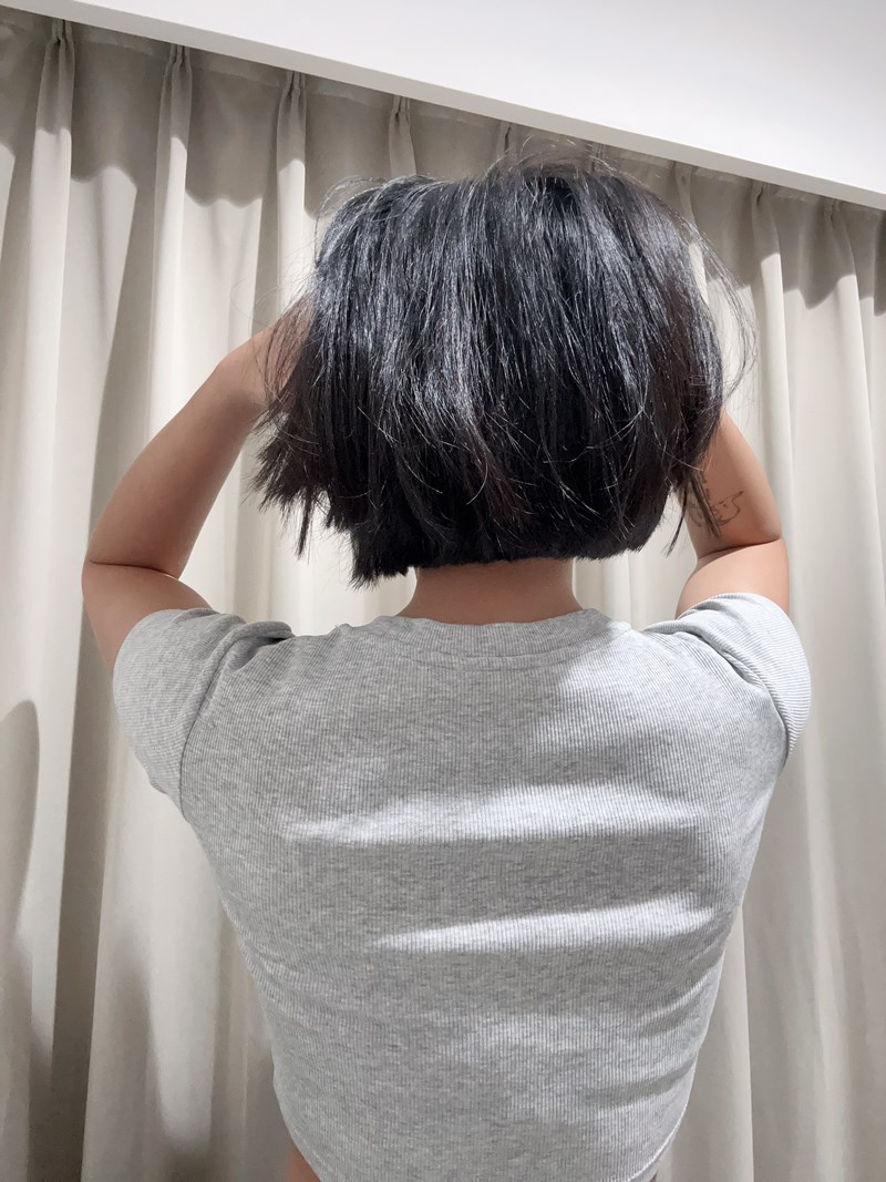試用